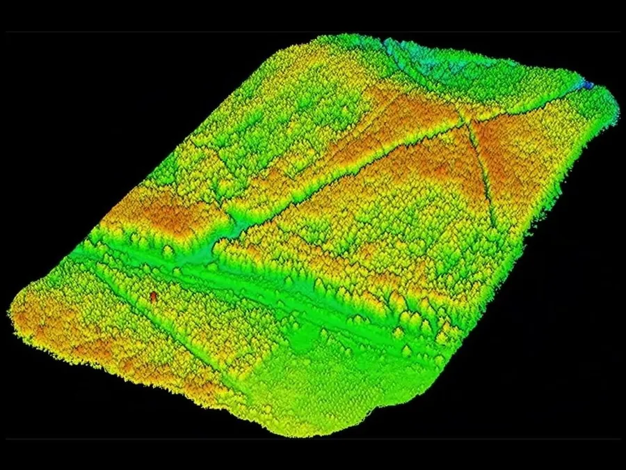 LiDAR point cloud of a forest plot, coloured by height from green to red.