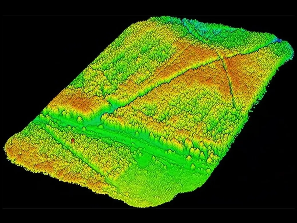 LiDAR point cloud of a forest plot, coloured by height from green to red.