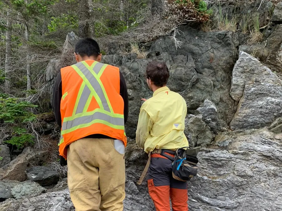 Two geologists in hi-vis examining a rock outcrop in woodland.