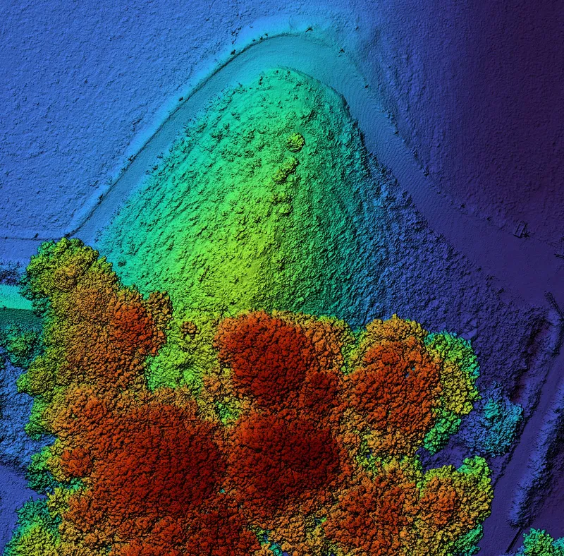 LiDAR surface model of a mound, coloured by height, with tall trees covering its lower half.